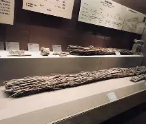 佥沯_r奁W]6嗕鰟q?鏳殹叜?J暯{-开元娱乐